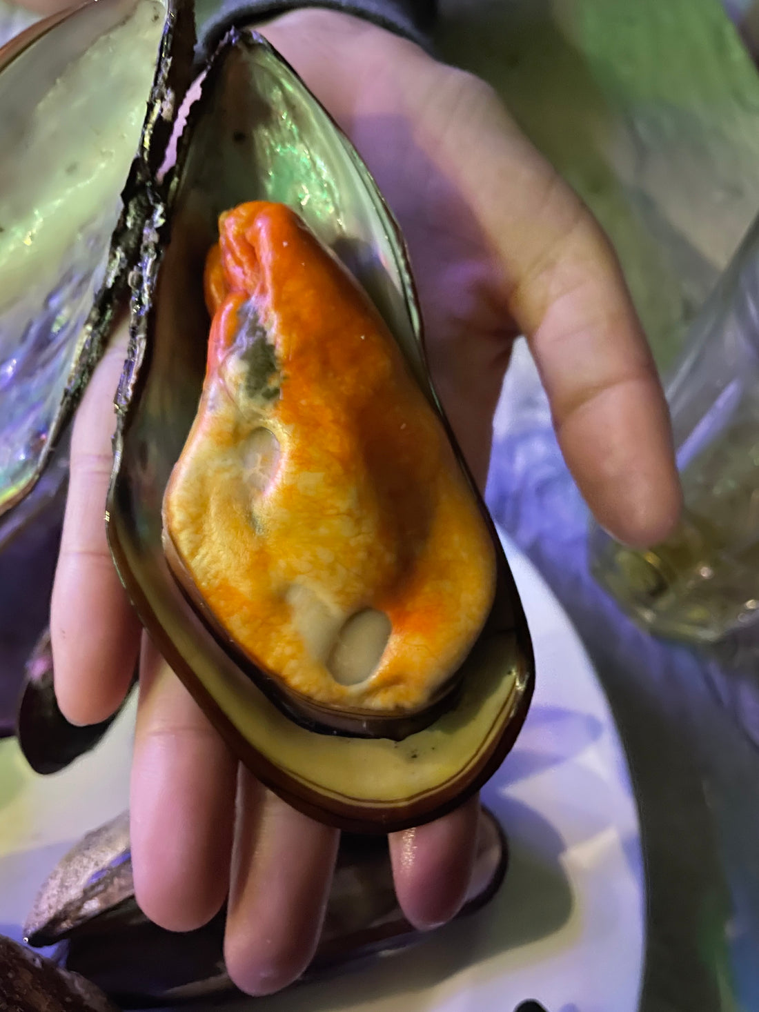 Fresh Seafood in Dakar, Senegal
